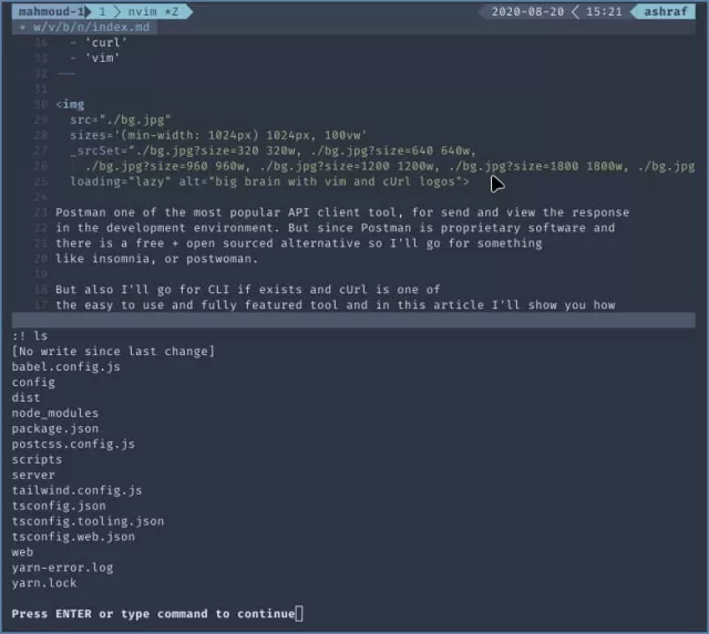 screenshot for ls command inside vim